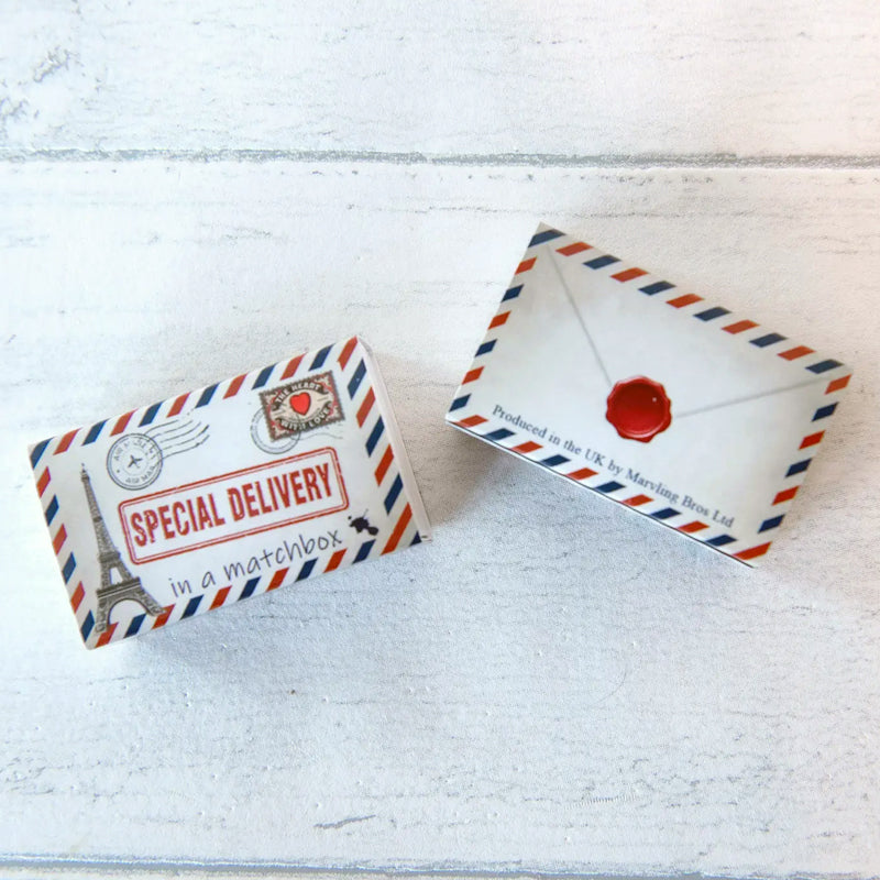 Marvling Bros Ltd Special Delivery Picked You Mini Bouquet in a Matchbox - Front and back of product shown