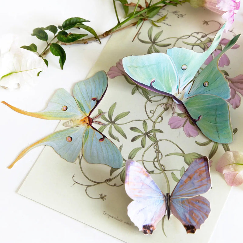 Moth & Myth 'Spring' Luna Moth Set - Product displayed on table 