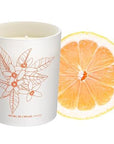 Cinq Mondes Phyto-Aromatic Candle of Atlas - Product displayed next to orange