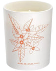 Cinq Mondes Phyto-Aromatic Candle of Atlas (6.3 oz)