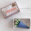 Special Delivery Happy Mother's Day Mini Bouquet