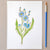 Chicory Watercolor Card Art Kit