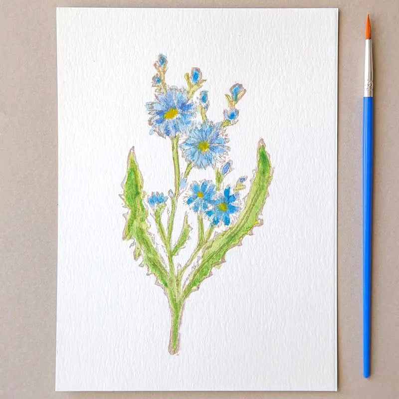 Ashes & Arbor Chicory Watercolor Card Art Kit