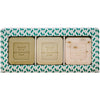 LES PANACEES 3-in-1 Travel Set - In the Shade of Cypresses shown with open box displaying all 3 soaps