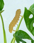 Plant Animal Decoration - Caterpillar - Beautyhabit