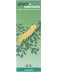 Another Studio Plant Animal Decoration - Caterpillar