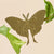 Plant Animal Decoration - Luna Moth