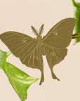 Another Studio Plant Animal Decoration - Luna Moth - Product displayed on plant