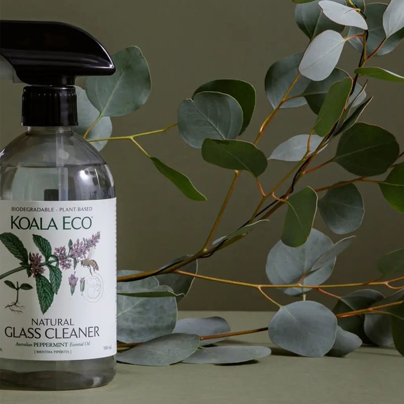 Koala Eco Natural Glass Cleaner - Product displayed with plants