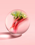Molton Brown Delicious Rhubarb & Rose Aroma Reeds Refill - Beauty shot