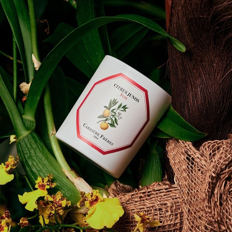 Carriere Freres Yuzu Candle - Beauty shot