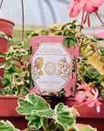 Carriere Freres Geranium Candle - Candle in a planter with flowers