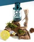 Solinotes Cedar Eau de Parfum - Beauty shot product shown with bark and citrus