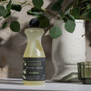 Eucalan Eucalyptus Delicate Wash - Beauty shot, product shown next to plant