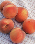 Sqirl Masumoto Sun Crest Peach Fruit Spread - Several peaches displayed on table cloth