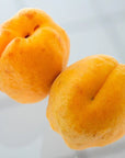 Sqirl Robada Apricot W. Noyaux Fruit Spread - Image of two apricots