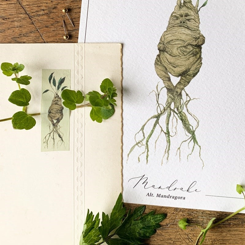 Georgiou Draws Mandrake Herbology Washi Tape - Product shown taping leaves to paper