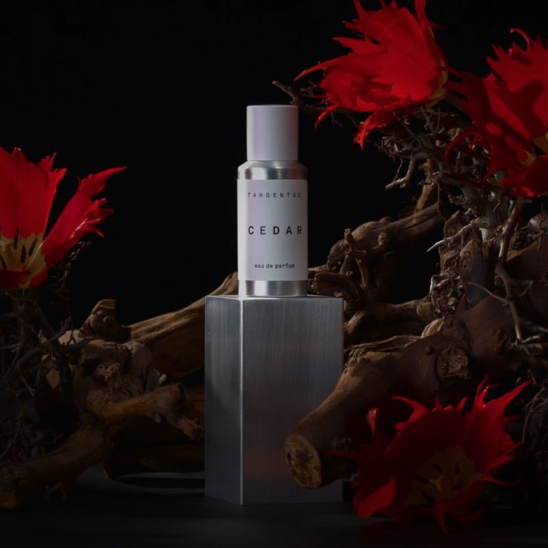 Tangent GC Cedar Eau de Parfum - Beauty shot