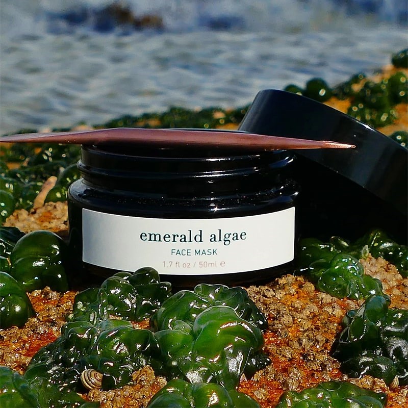 ISUN Emerald Algae Face Mask - Beauty shot
