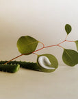 3rd Ritual Sun Botanical Body Gel - Beauty shot, product smear shown on leaf