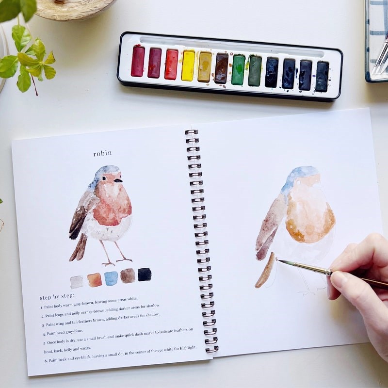 Emily Lex Studio Birds Watercolor Workbook – Beautyhabit