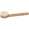 Daily Glow Facial Dry Brush
