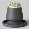 Bloomist Stoneware Match Strike with Tray - Black - Product shown filled with matches