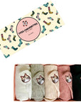 Tites Chaussettes Lot Chaussettes Languette Chat - Cat Whisker Socks ( 5 pcs)