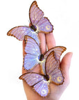 Moth & Myth Celestial Beings Morpho Paper Butterfly Set - Products shown in models hand