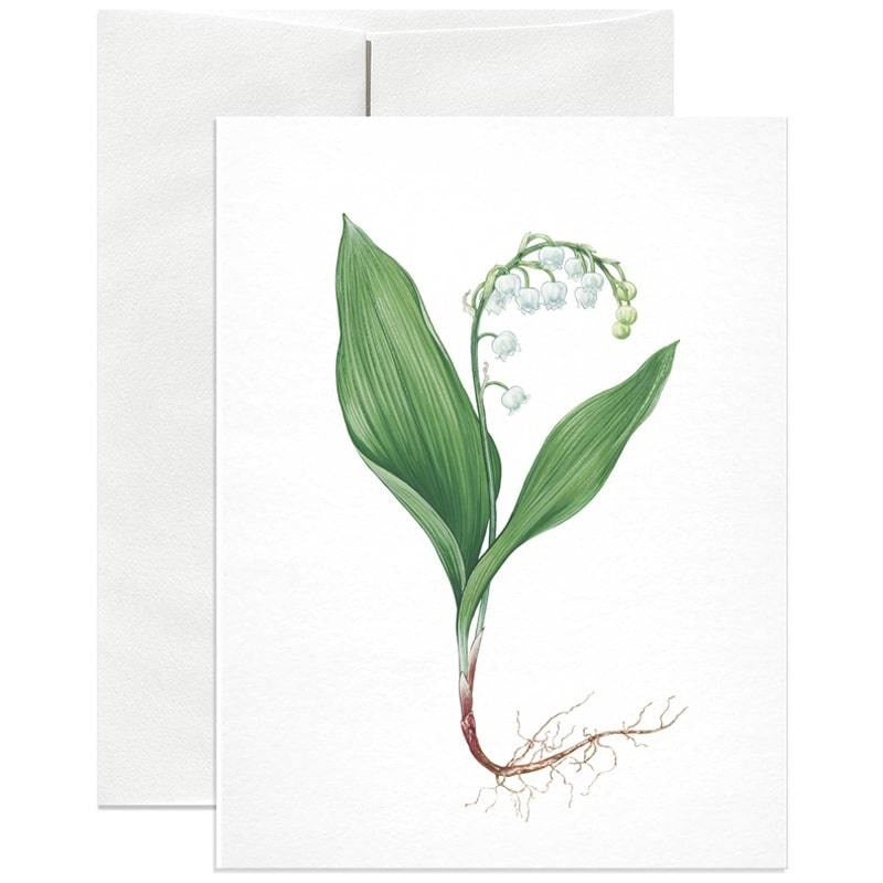 Open Sea Lily of the Valley Greeting Card