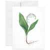 Lily of the Valley Greeting Card